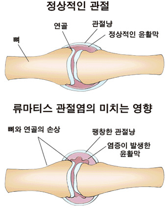 ekwangdong_co_kr_20111214_180533.jpg