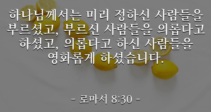 화면 캡처 2023-02-25 200408.jpg